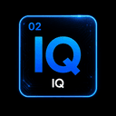 IQ WMS logo